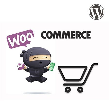 woocommerce ecommerce formation roymonde