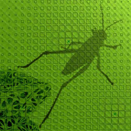 rhinoceros 3D - grasshopper - formation roymonde