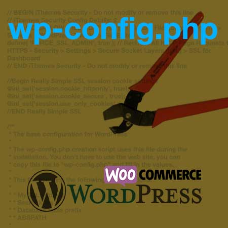 roymonde - wordpress - wp-config