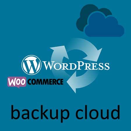 roymonde.com - formation - wordpress