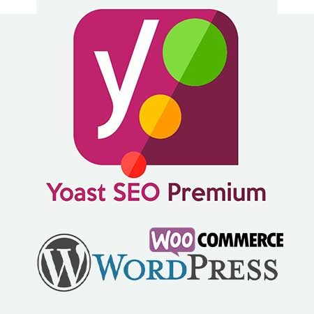 roymonde.com - formation - yoast