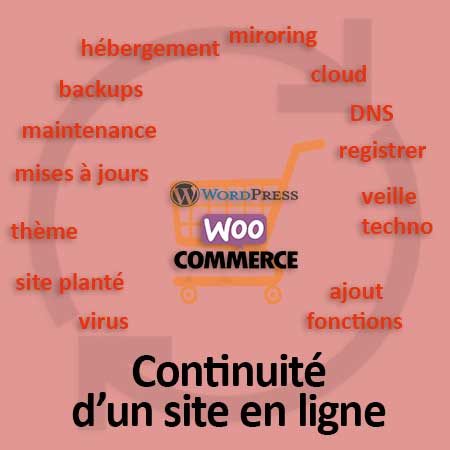 continuité site en ligne - wordpress - WooCommerce - roymonde.com - formation - wordpress