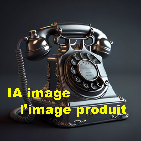 IA image produit ecommerce woocommerce IA roymonde